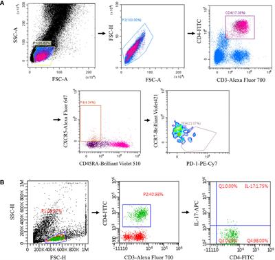 Normalized circulating Tfh and Th17 associates with improvement in myasthenia gravis treated with ofatumumab